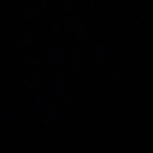 Meet your Posher, Alexa